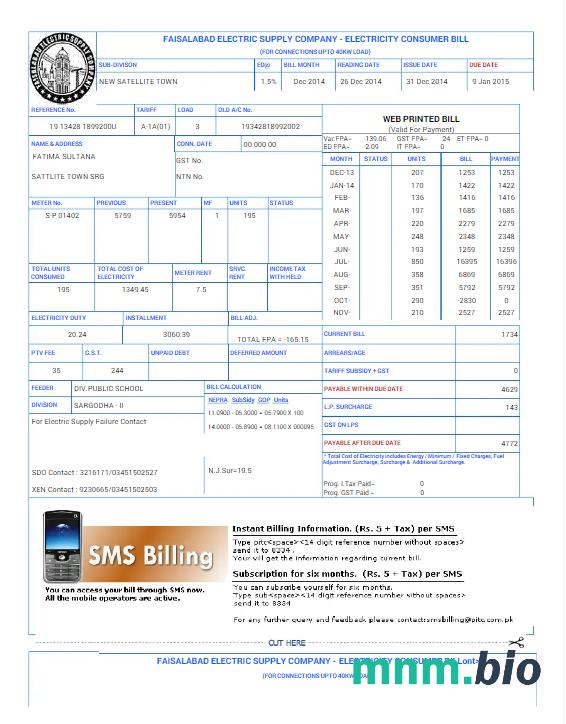 Pakistan Faisalabad rachunek za media słowo i szablon PDF